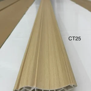 Phụ kiện nẹp CT25